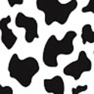 Meet your Posher, Gavin